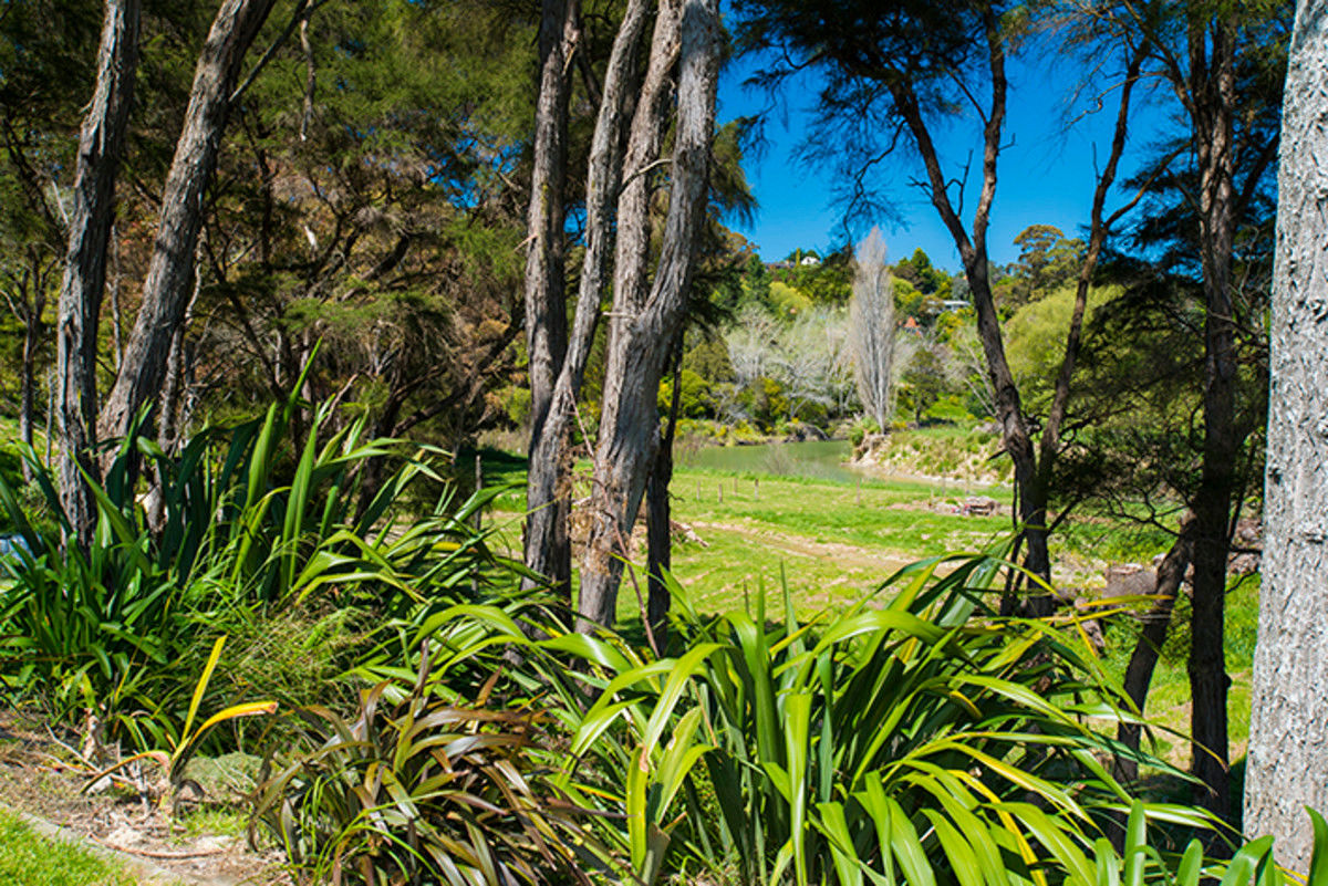 8 Hacche Road, Outer Kaiti, Gisborne, 4 Bedrooms, 0 Bathrooms