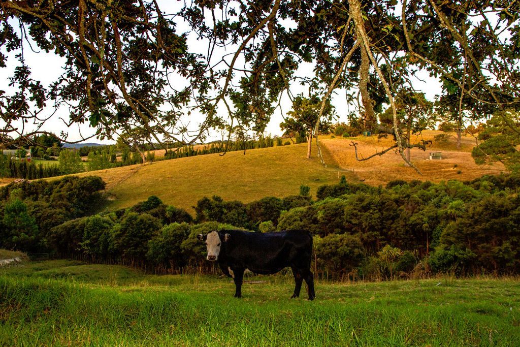 Rural  Countryside Living Zone