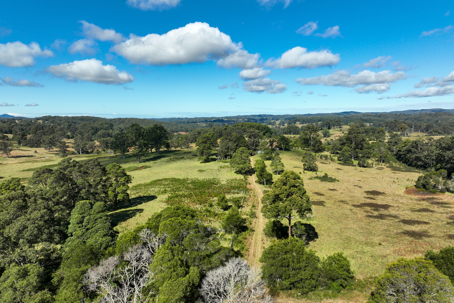 355 DOYLES RIVER RD, ELANDS NSW 2429, 0 Bedrooms, 0 Bathrooms, Lifestyle Property