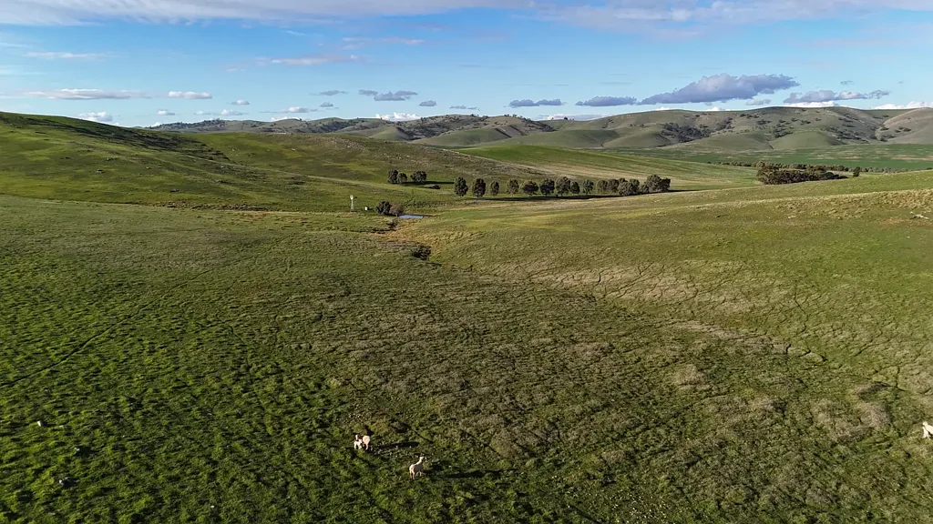 West Bundaleer  Outstanding Mixed Farming Opportunity with Secure Turbine Income