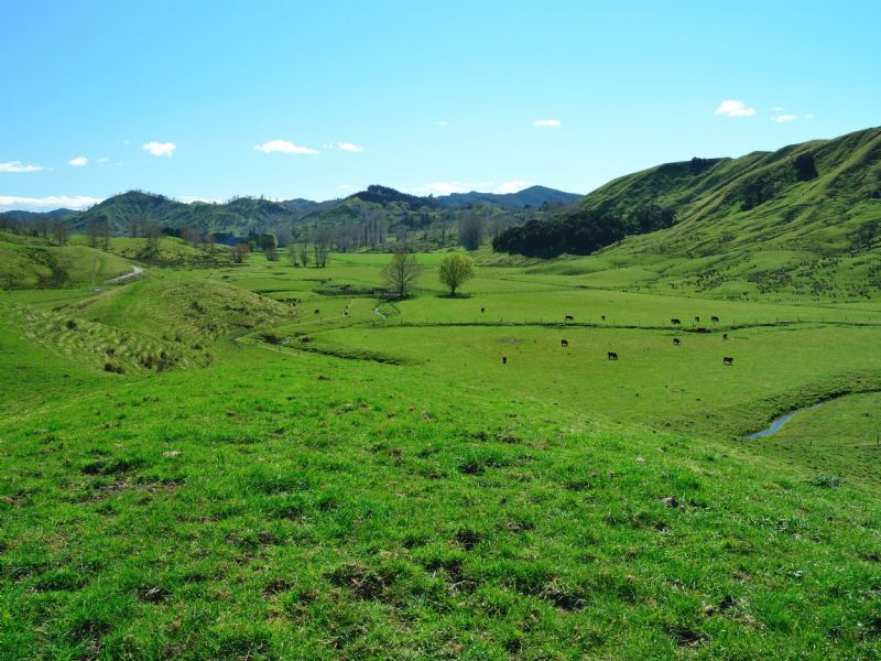 200 Ngakoroa Road, Ormond, Gisborne, 0 rūma, 0 rūma horoi