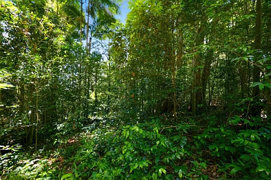 LOT 3/1968 Mount Glorious Road, Mount Glorious, QLD 4520, 0 slaapkamers, 0 badkamers, Section