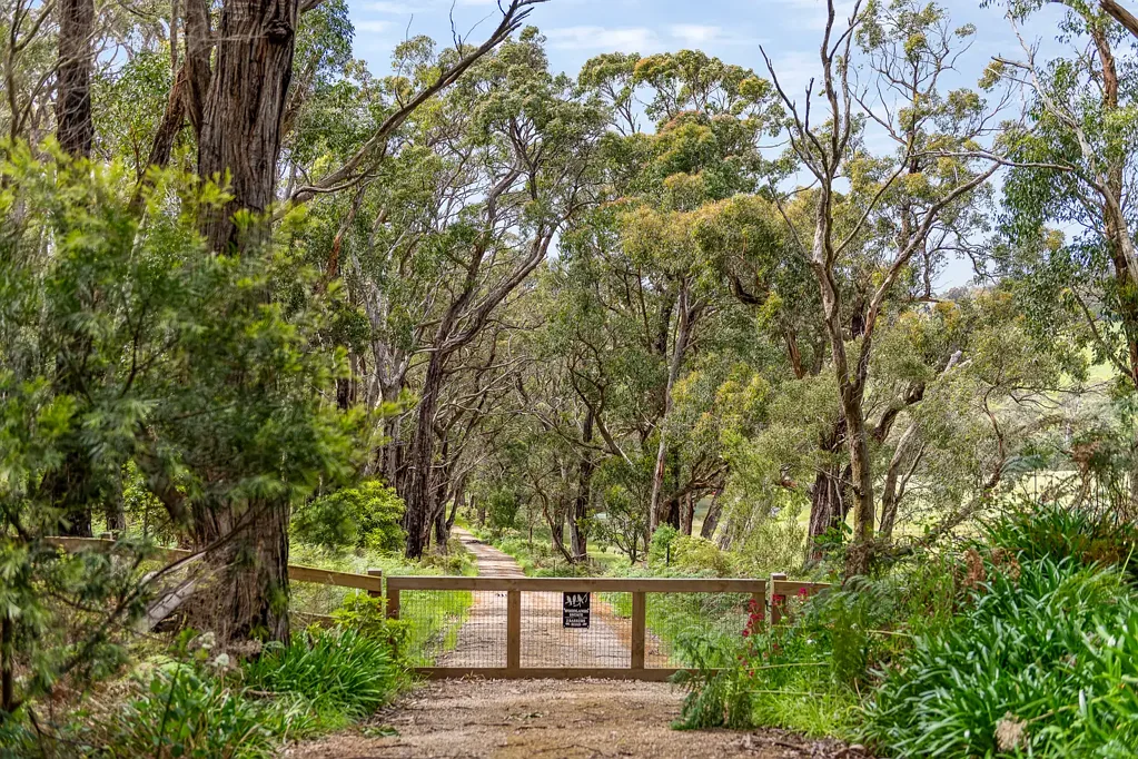 Flinders Flinders中心地带 39英亩庄园 稀有蓝筹地块 壮丽景色宁静隐秘 游泳池网球场 世代奢华机遇 An Unrivalled Landholding of Exceptional Rarity