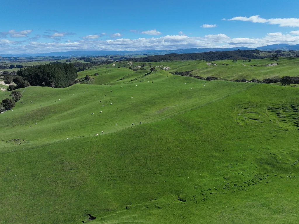 Hastings Country  Location and Scale