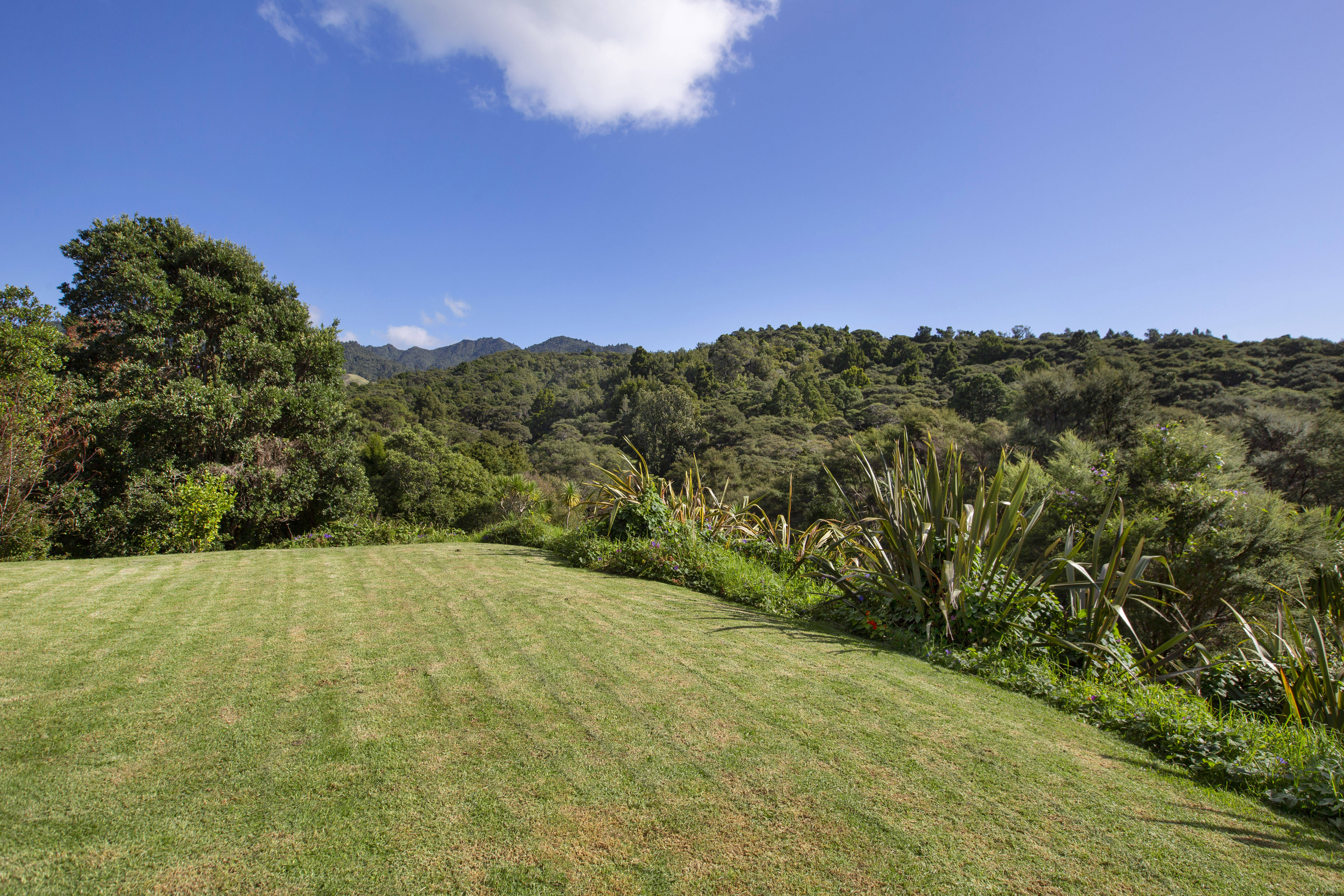 72a Upper Wainui Road, Raglan, Waikato, 0房, 0浴, Section