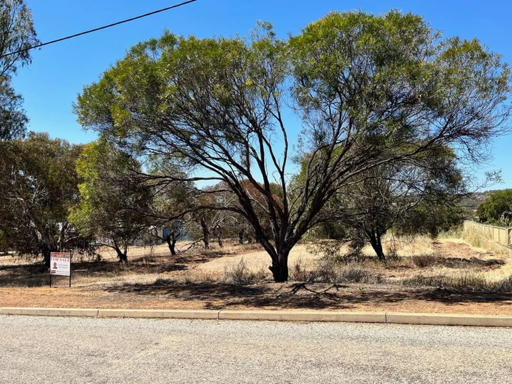 32 Alfred Street, York, WA 6302