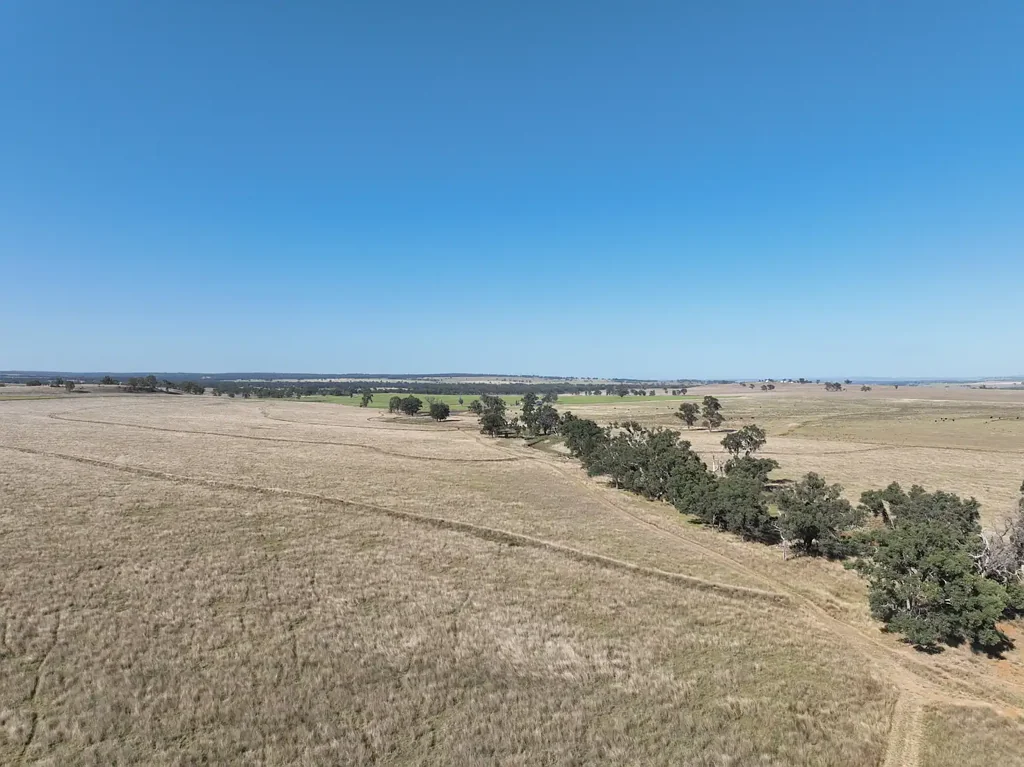 "Block Four" 465 Napier Lane, Coonabarabran, NSW 2357