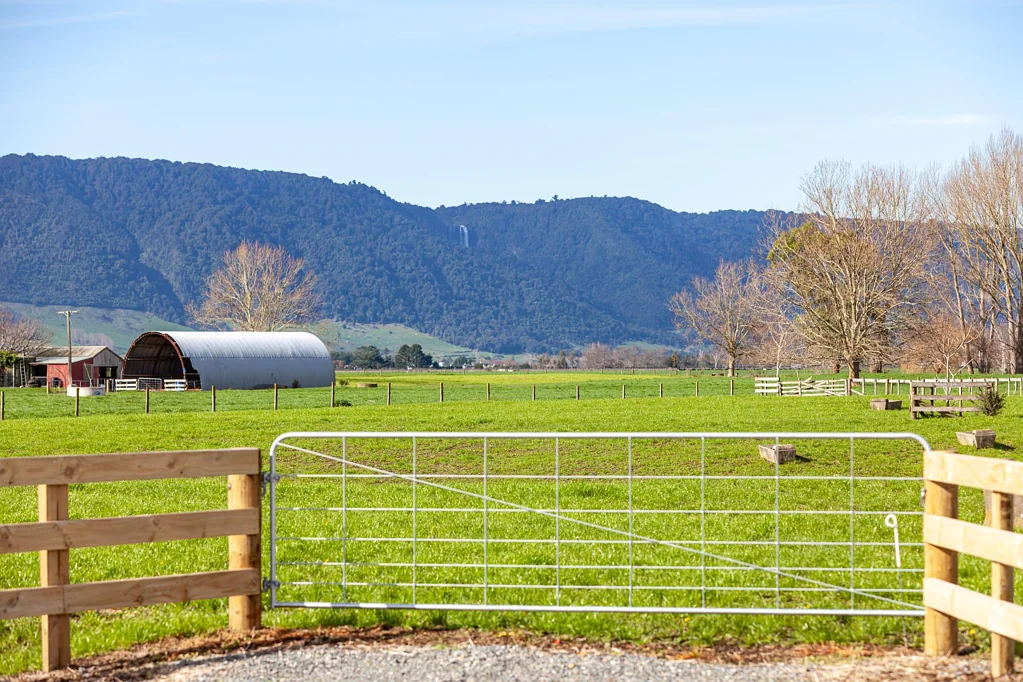 Matamata Charming lifestyle block
