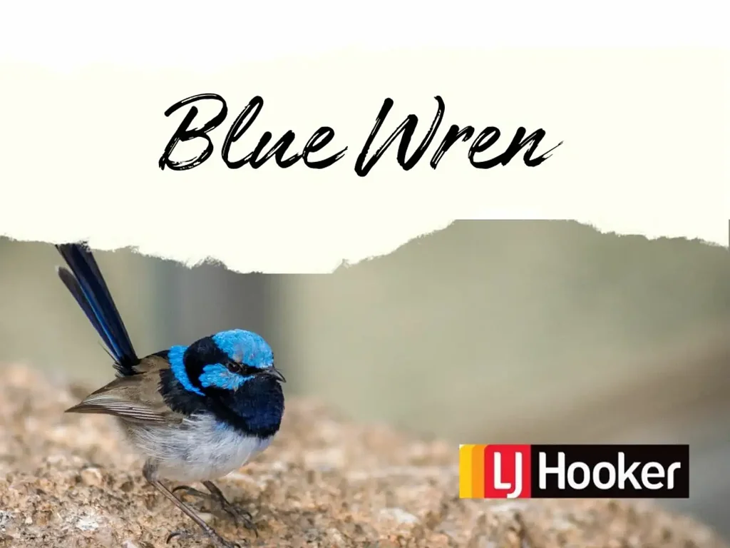 Narromine Blue Wren Estate Narromine�s Newest Land Release