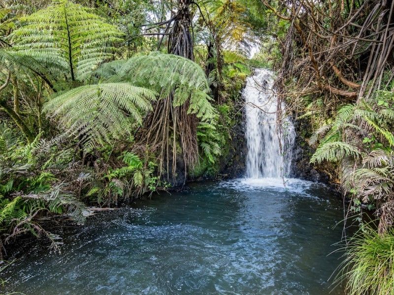 262 Pinnacle Hill Road, Mangatawhiri, Waikato, 5房, 0浴