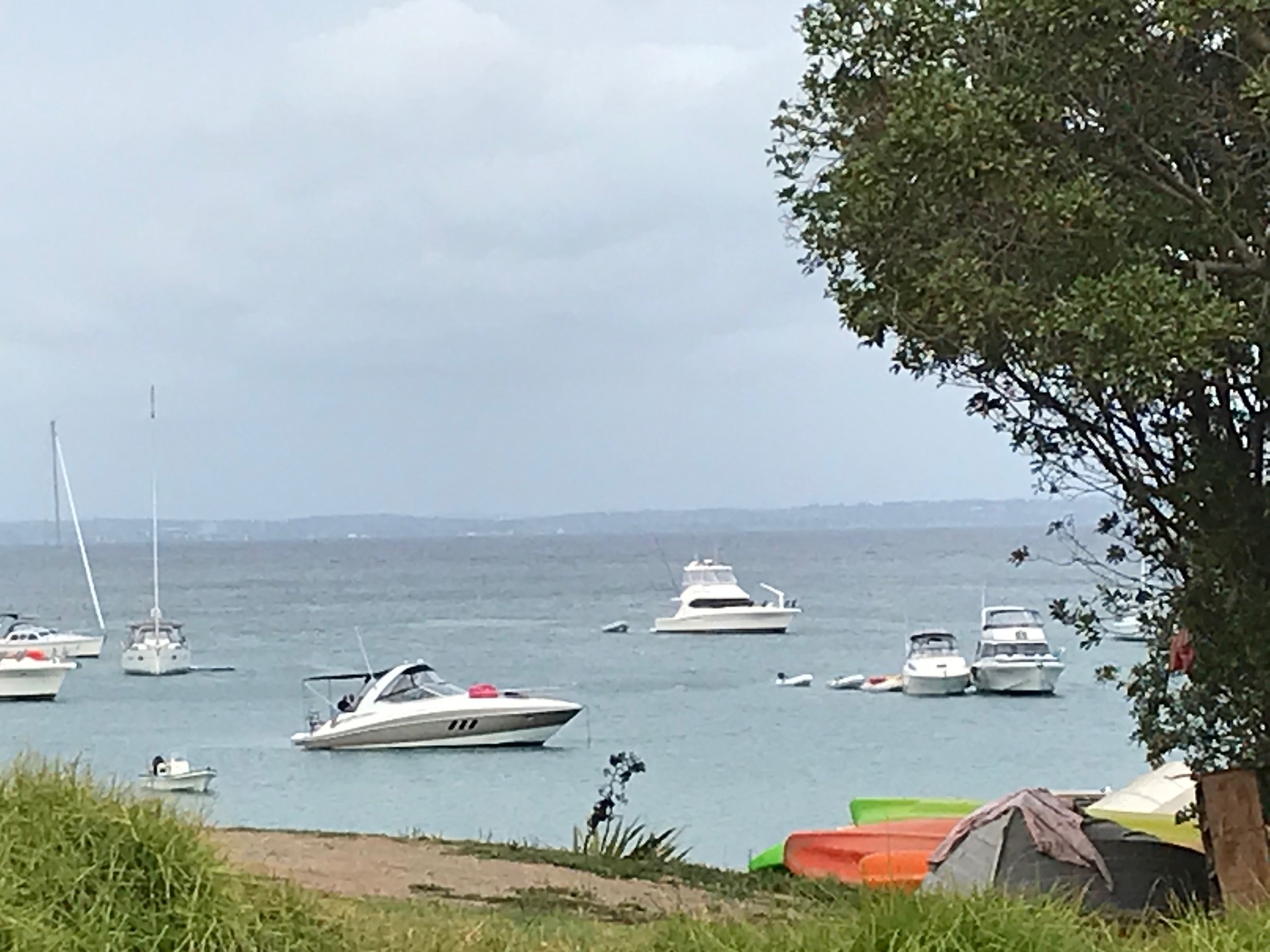 Hauraki Gulf Islands