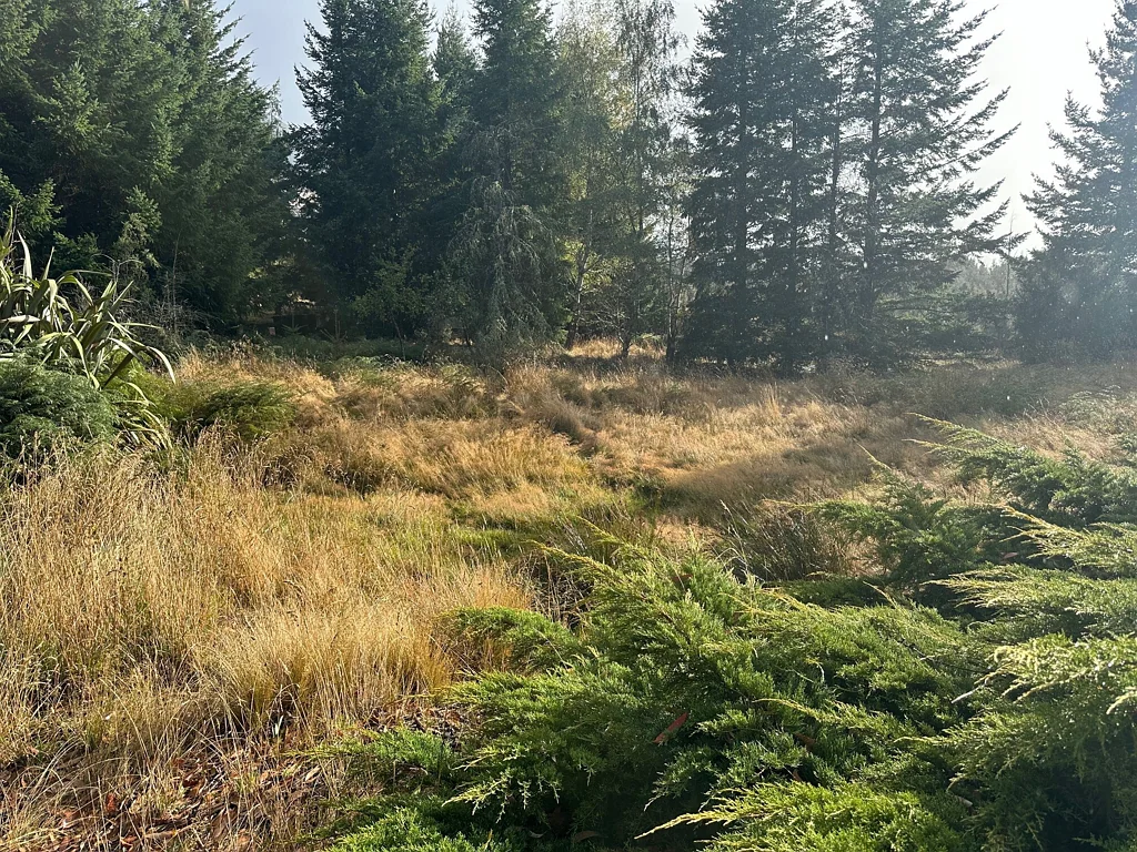 Lyford Nature's Retreat