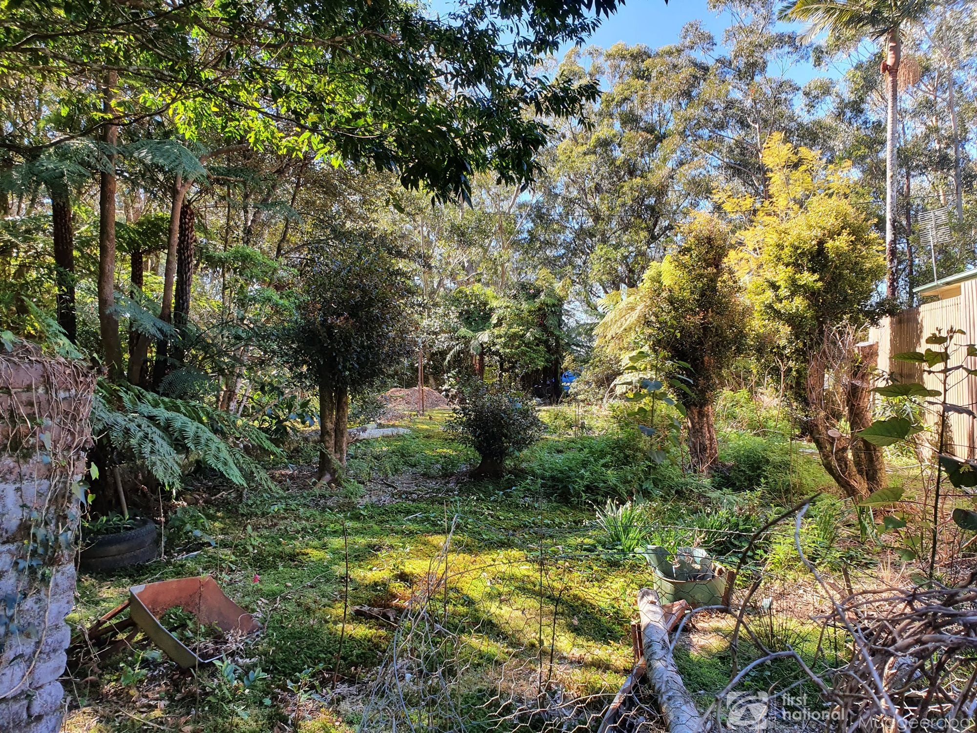 24 CANYON PDE, SPRINGBROOK QLD 4213, 0 rūma, 0 rūma horoi, Section