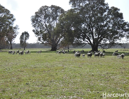 6080 Western Highway, Dadswells Bridge, Horsham, 0部屋, 0バスルーム, Lifestyle Property