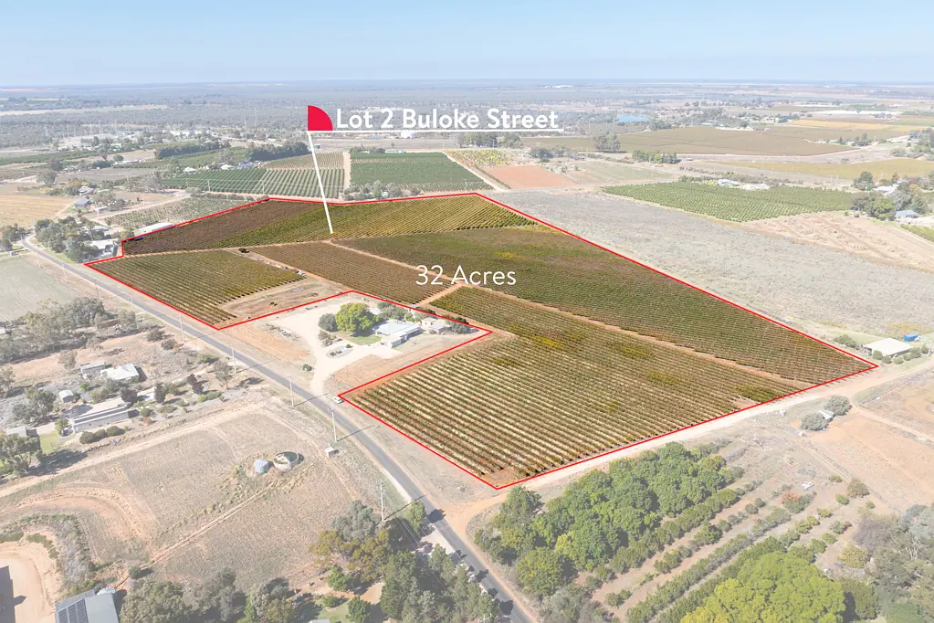 Red Cliffs 32 Acre Vineyard