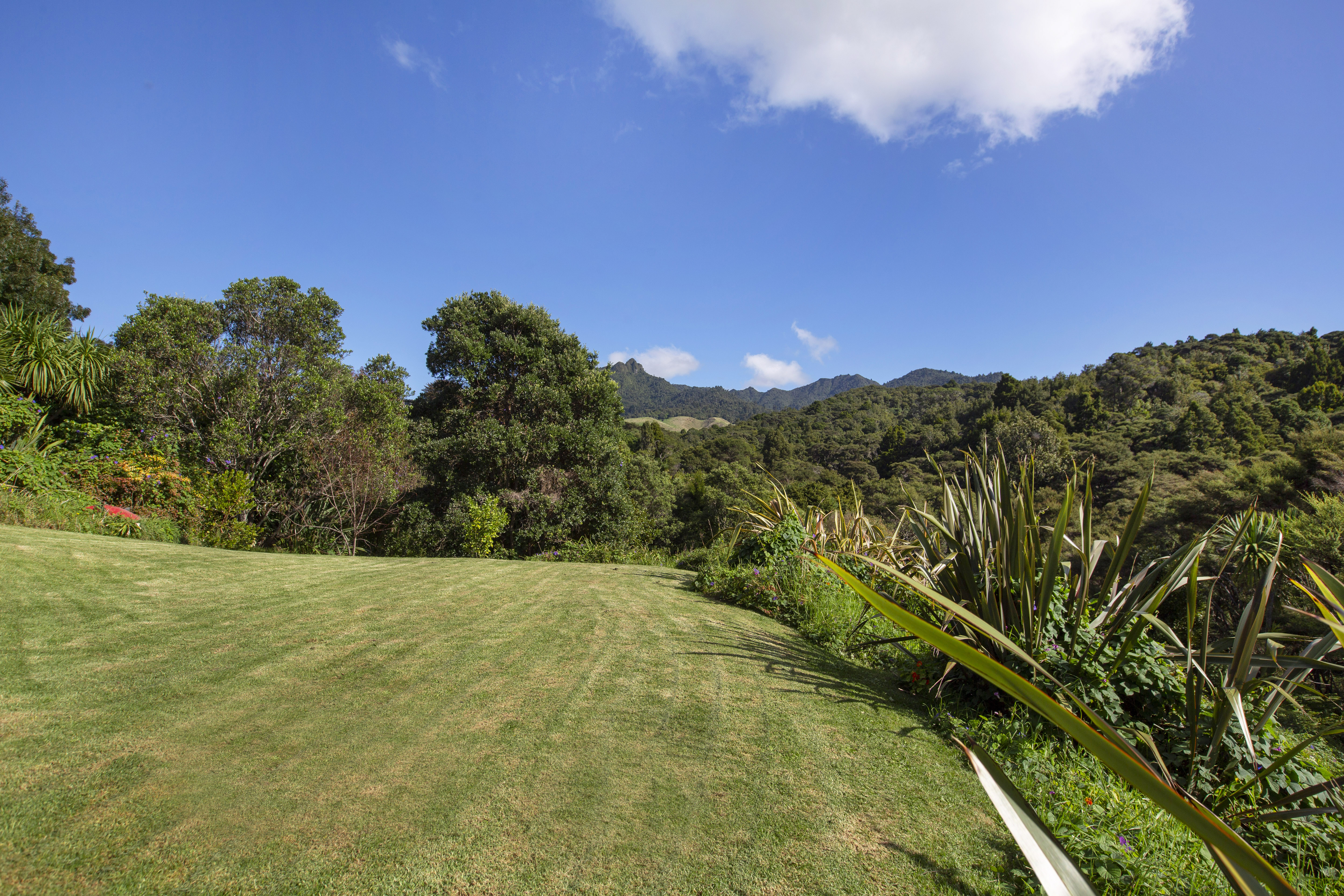 72a Upper Wainui Road, Raglan, Waikato, 0房, 0浴, Section