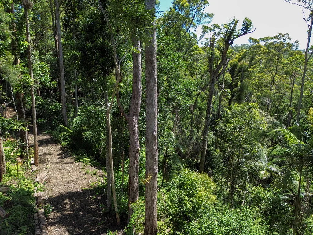 100 Wongawallan Road, Tamborine Mountain, QLD