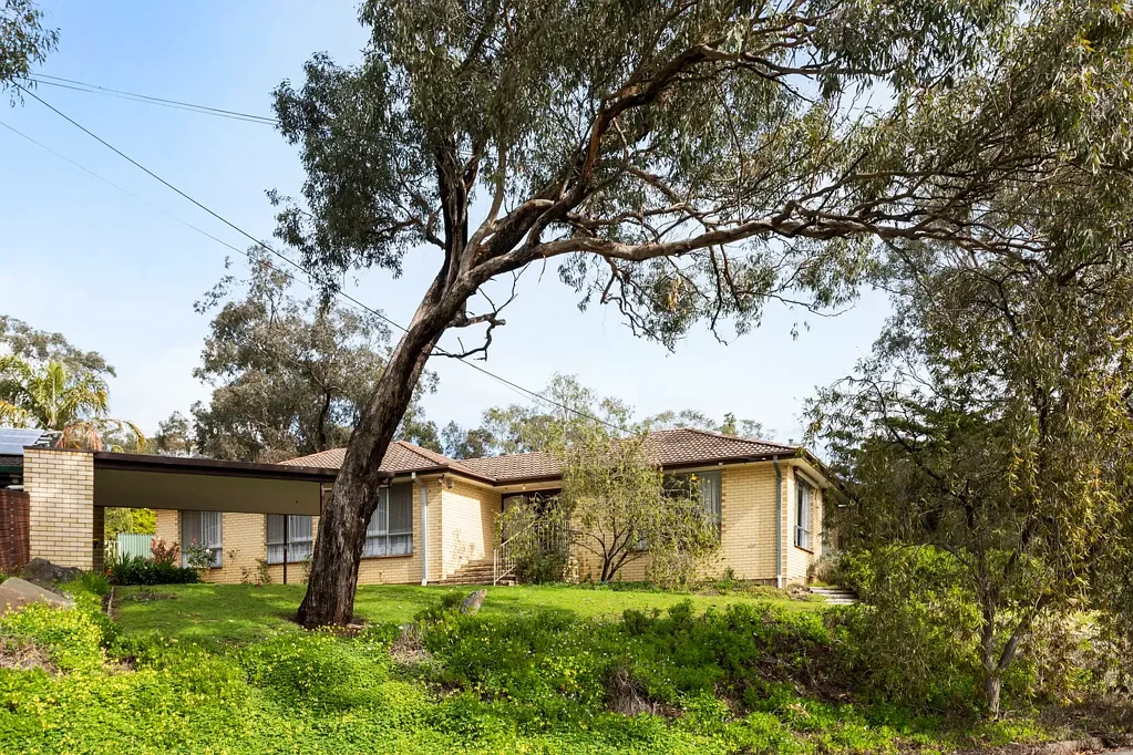 Blackwood 4房  Family living with leafy outlooks and endless potential…