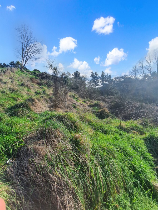 36 Bullians Avenue, Taumarunui, Ruapehu, 0 chambres, 0 salles de bain