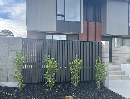 30b Stewart Rd, Mount Albert, Auckland City, 3部屋, 1バスルーム, House