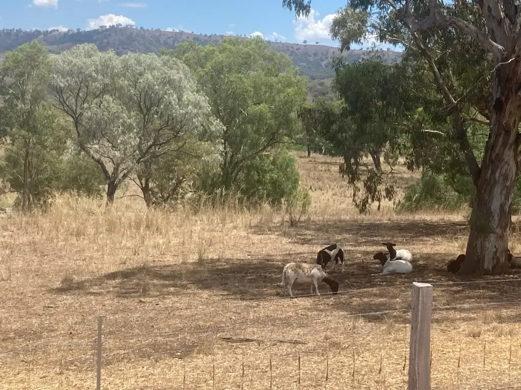 LOT 70 High Street, Bunnan, NSW 2337