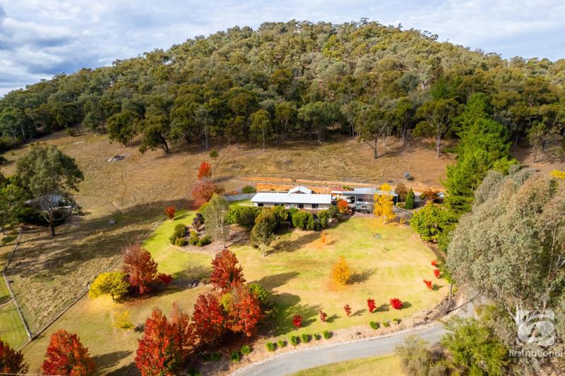 339 BUFFALO RIVER RD, BUFFALO RIVER VIC 3737, 0房, 0浴, House