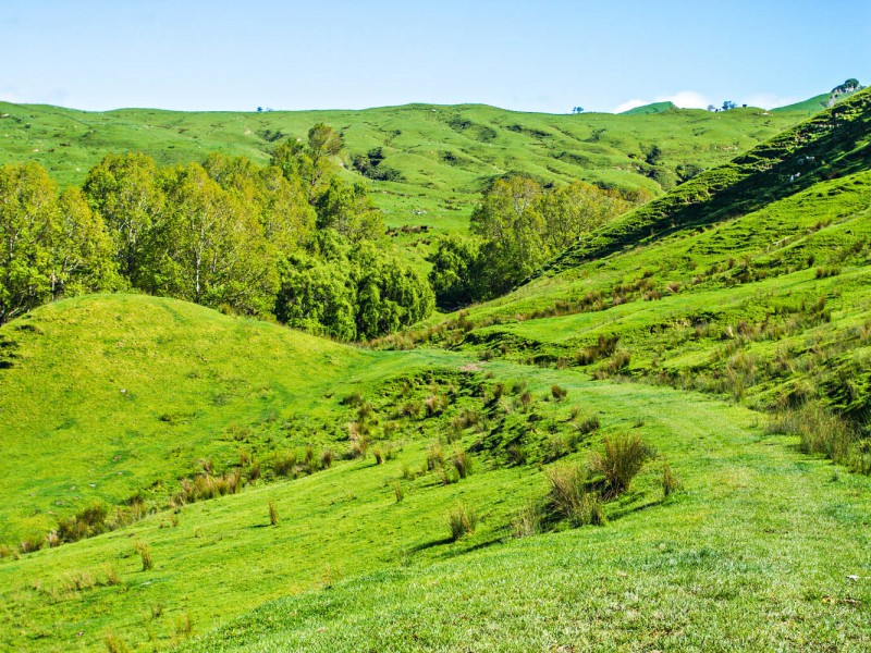 145 Rere Farm Settlement Road, Rere, Gisborne, 0 chambres, 0 salles de bain