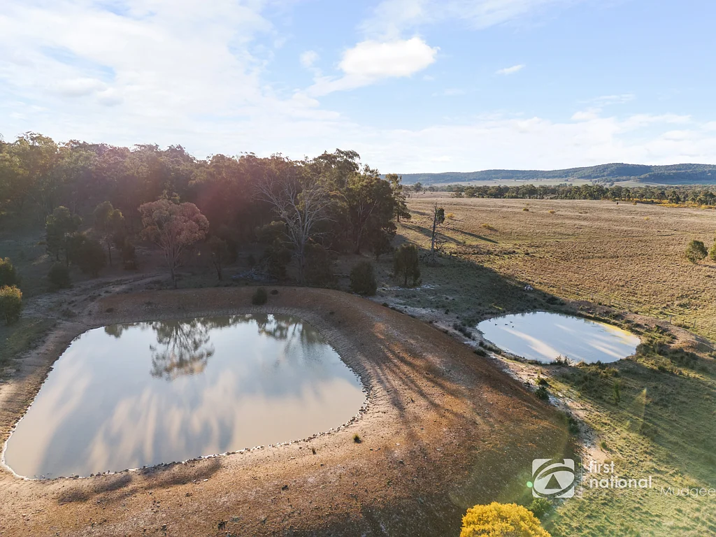 Dunedoo PICTURESQUE LIFESTYLE AND FARMING OPPORTUNITY!