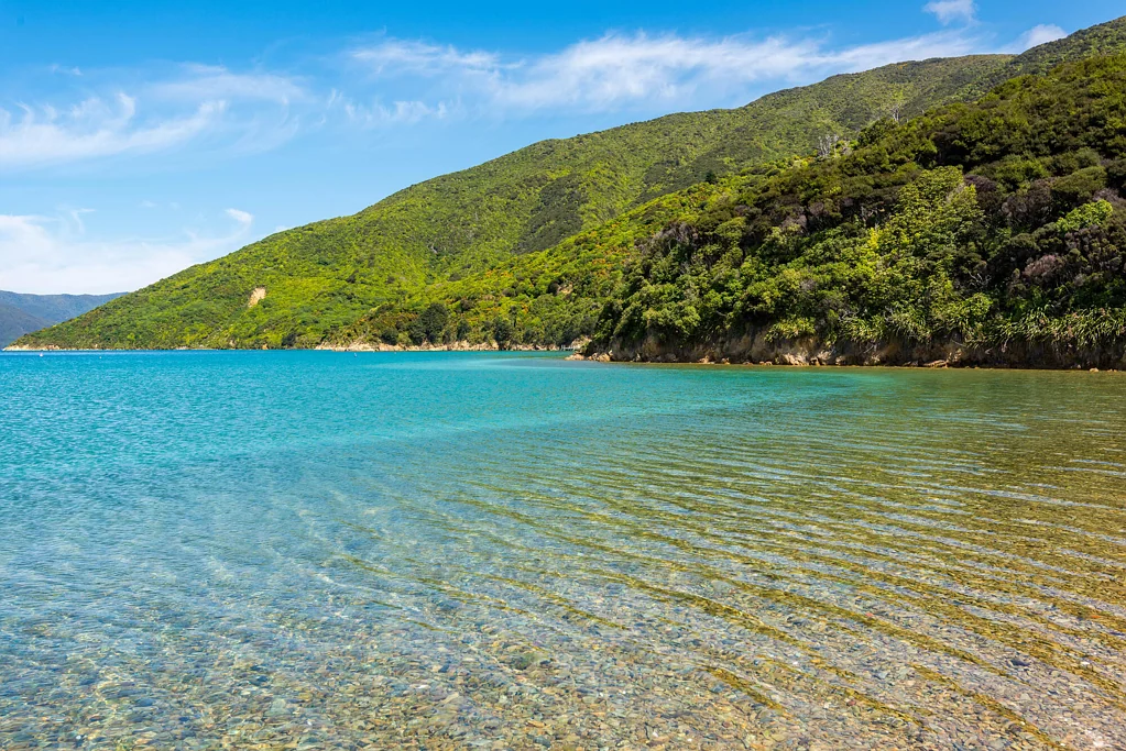 Queen Charlotte Sound Onauku getaway - views, privacy and beach access