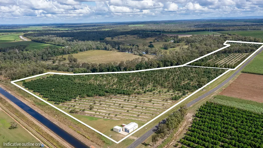 North Gregory  “Avo Haven”