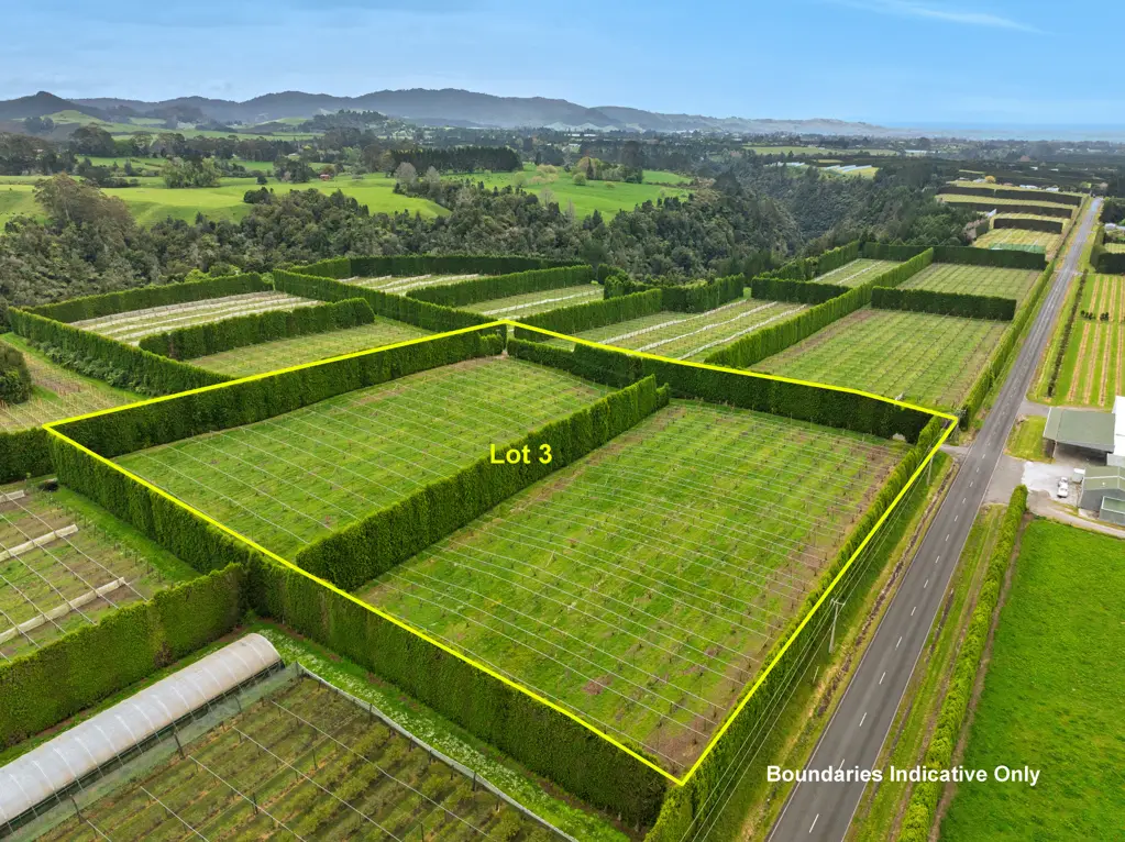Lot 3/1010 Te Matai Road, Te Ranga, Western Bay of Plenty, Bay of Plenty