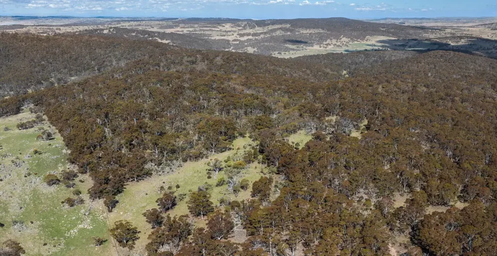 Eucumbene Natural Alpine Bushland