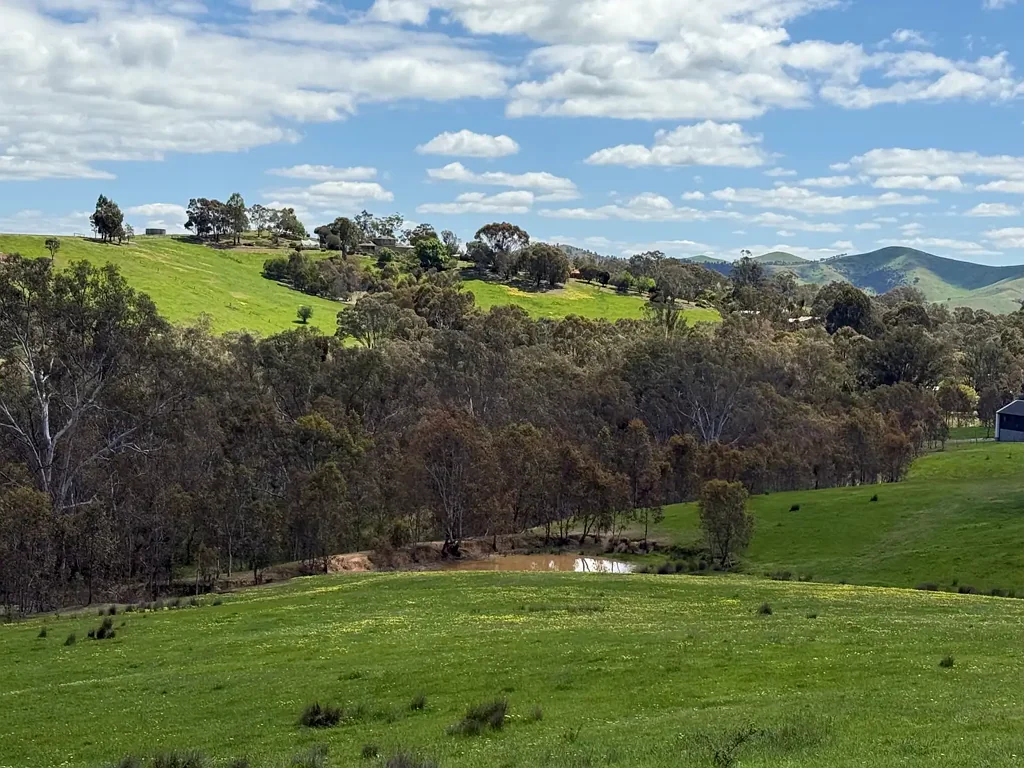 Alexandra Grazing Property with Development Potential