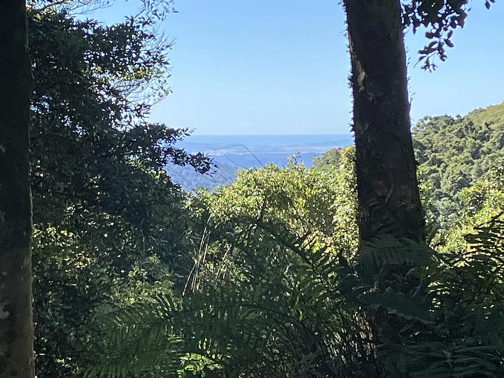 Topaz  RAINFOREST RETREAT