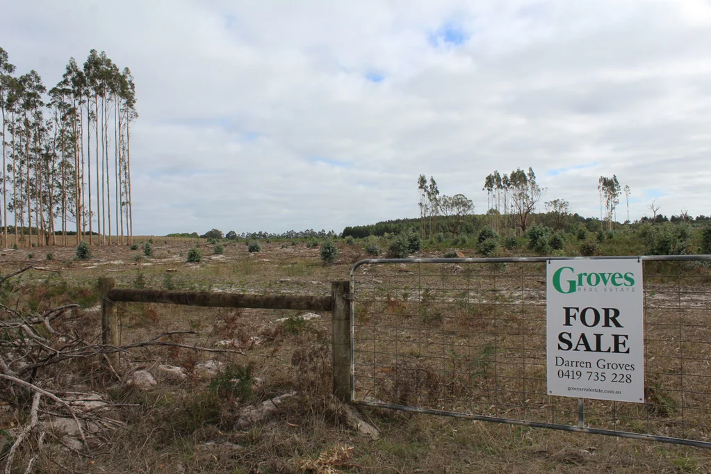Digby Land Investment Opportunity