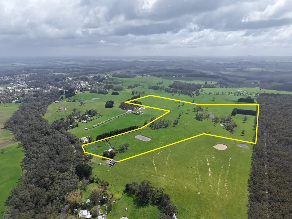 Timboon Productive Paddock - Prime Position