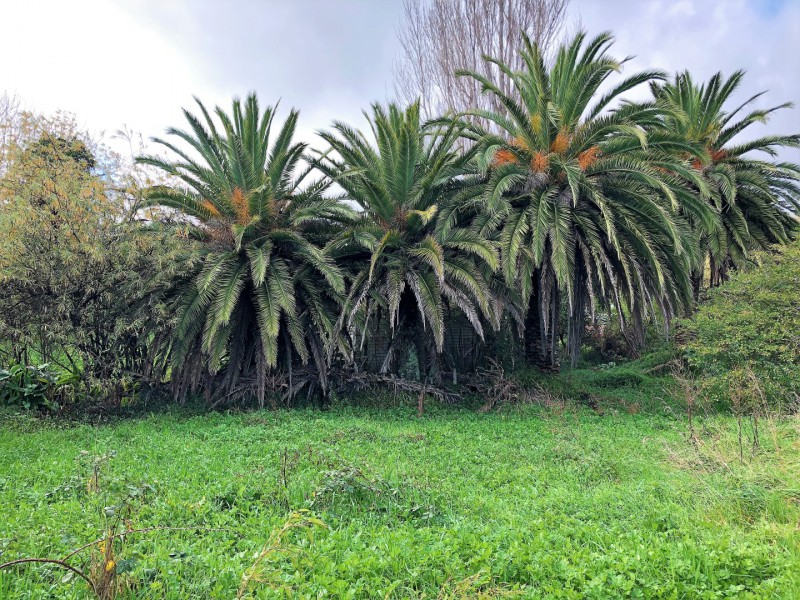 11 Grand Street, Shannon, Horowhenua, 0 rūma, 0 rūma horoi