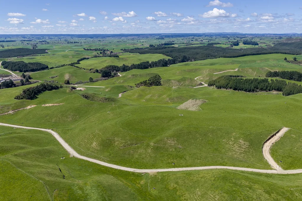 South Waikato Surrounds  Move in and make money