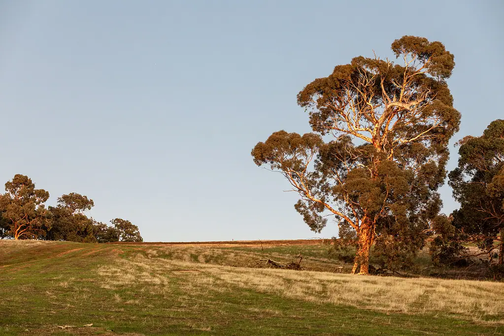 LOT 633 Malvi Close, Lower Chittering, WA 6084
