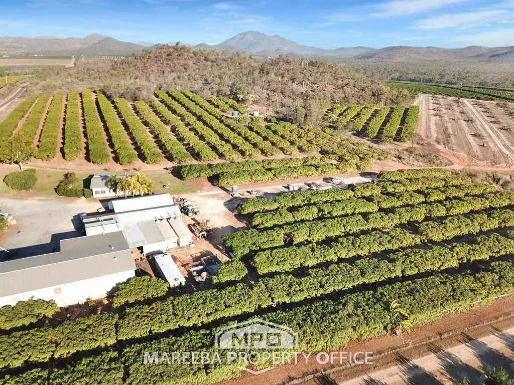 1151 Leafgold Weir Road, Dimbulah, QLD 4872