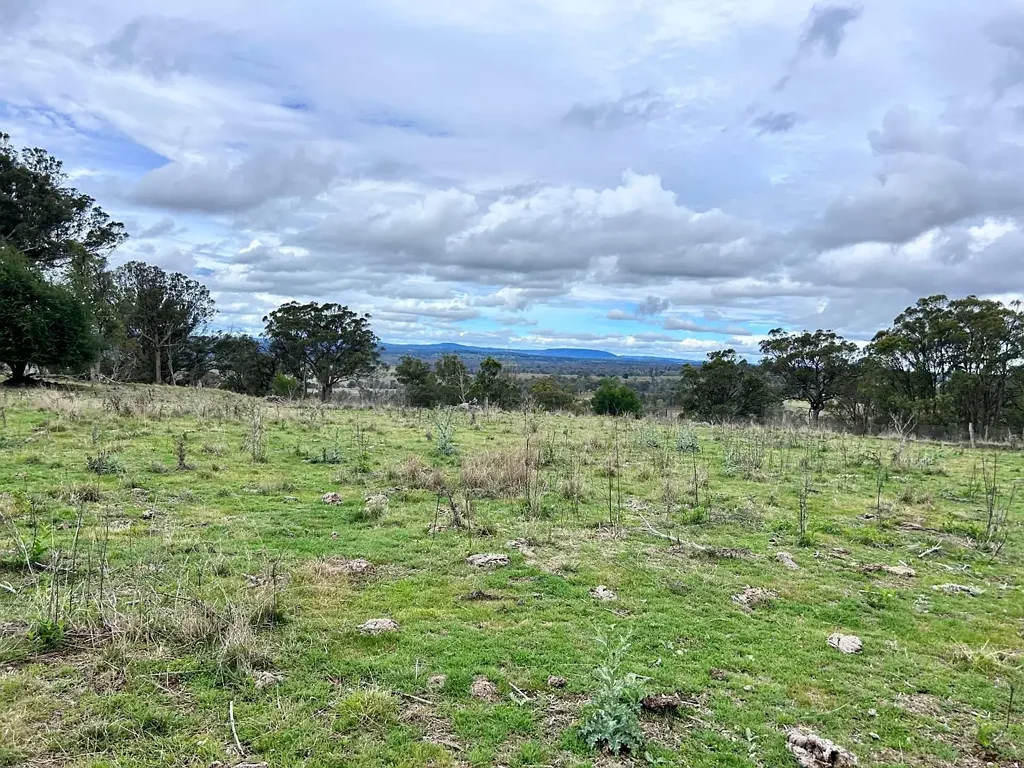 Lot 102 Jenkyn Lane, Uralla, NSW 2358