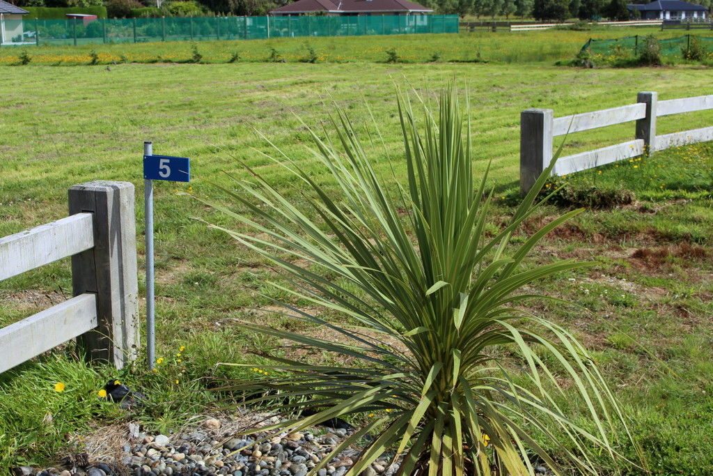 5 Kakariki Way, Otatara, Invercargill, 3 chambres, 0 salles de bain