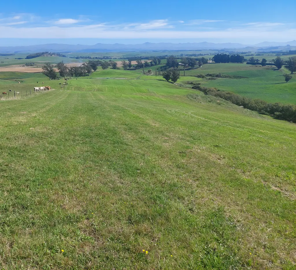 Enfield and Surrounds Irrigated Support Block