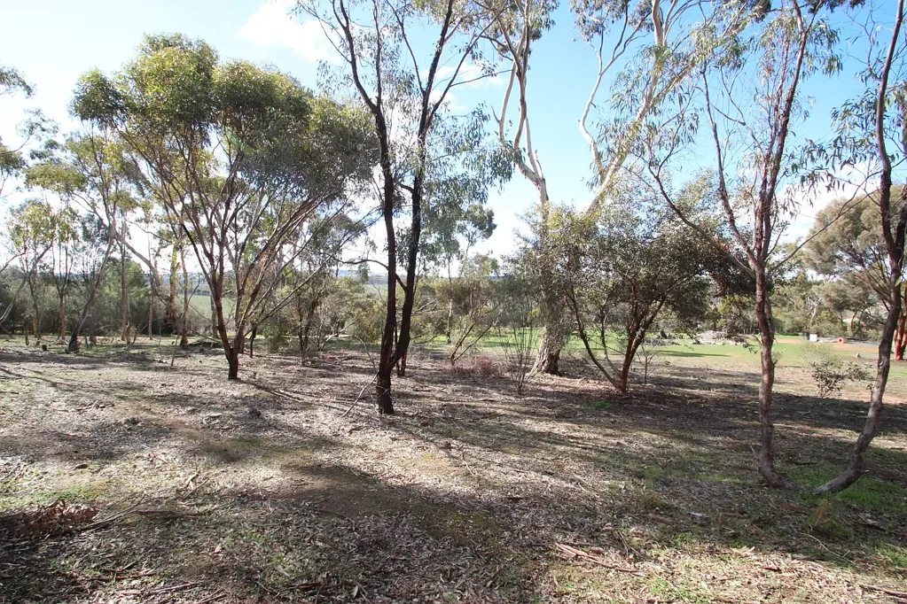 Leasingham  BEAUTIFUL COUNTRY LIVING 1800 SQM ALLOTMENT IN PICTURESQUE LEASINGHAM