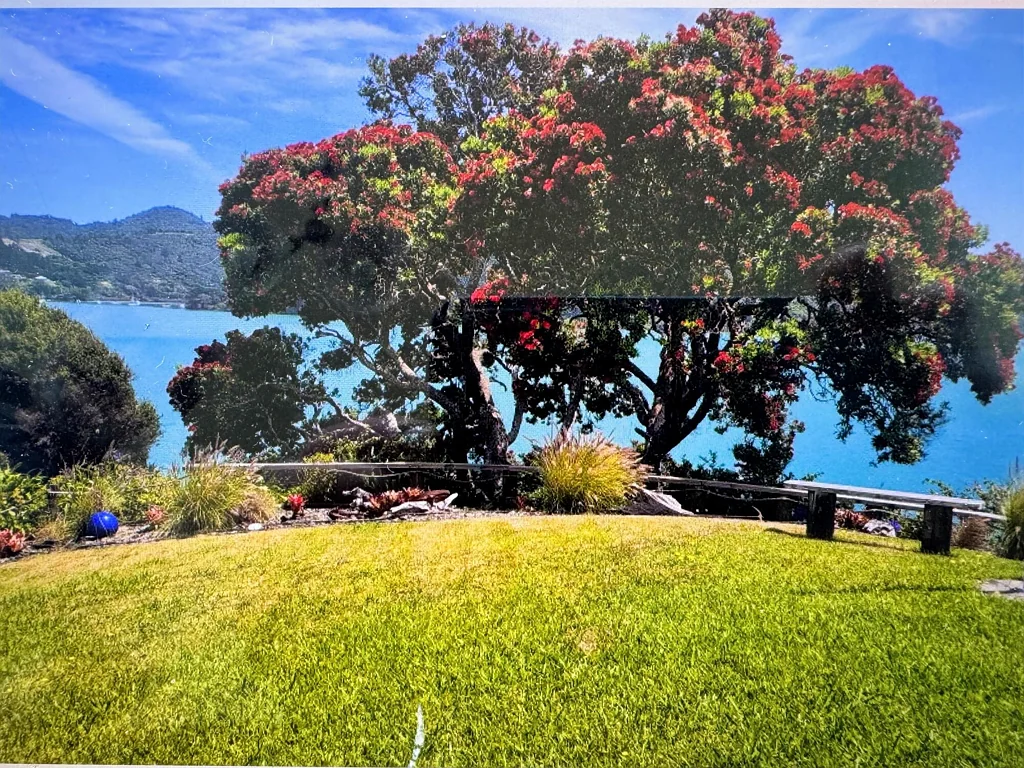 Whangaroa 3房  Amazing section with 1900s Build