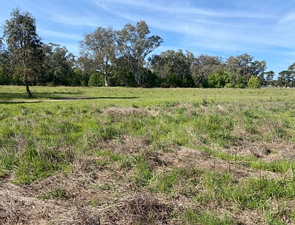 LOT 182 Talunga Park Road, Mount Pleasant, Barossa - Yorke - Mid North, 0部屋, 0バスルーム, Section