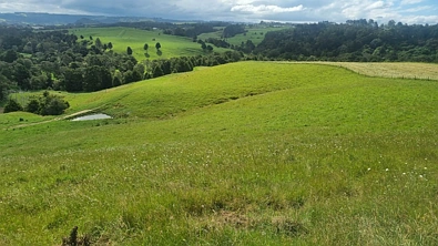 Okokako Road, Waimate North, Far North District, 0房, 0浴, Lifestyle Section