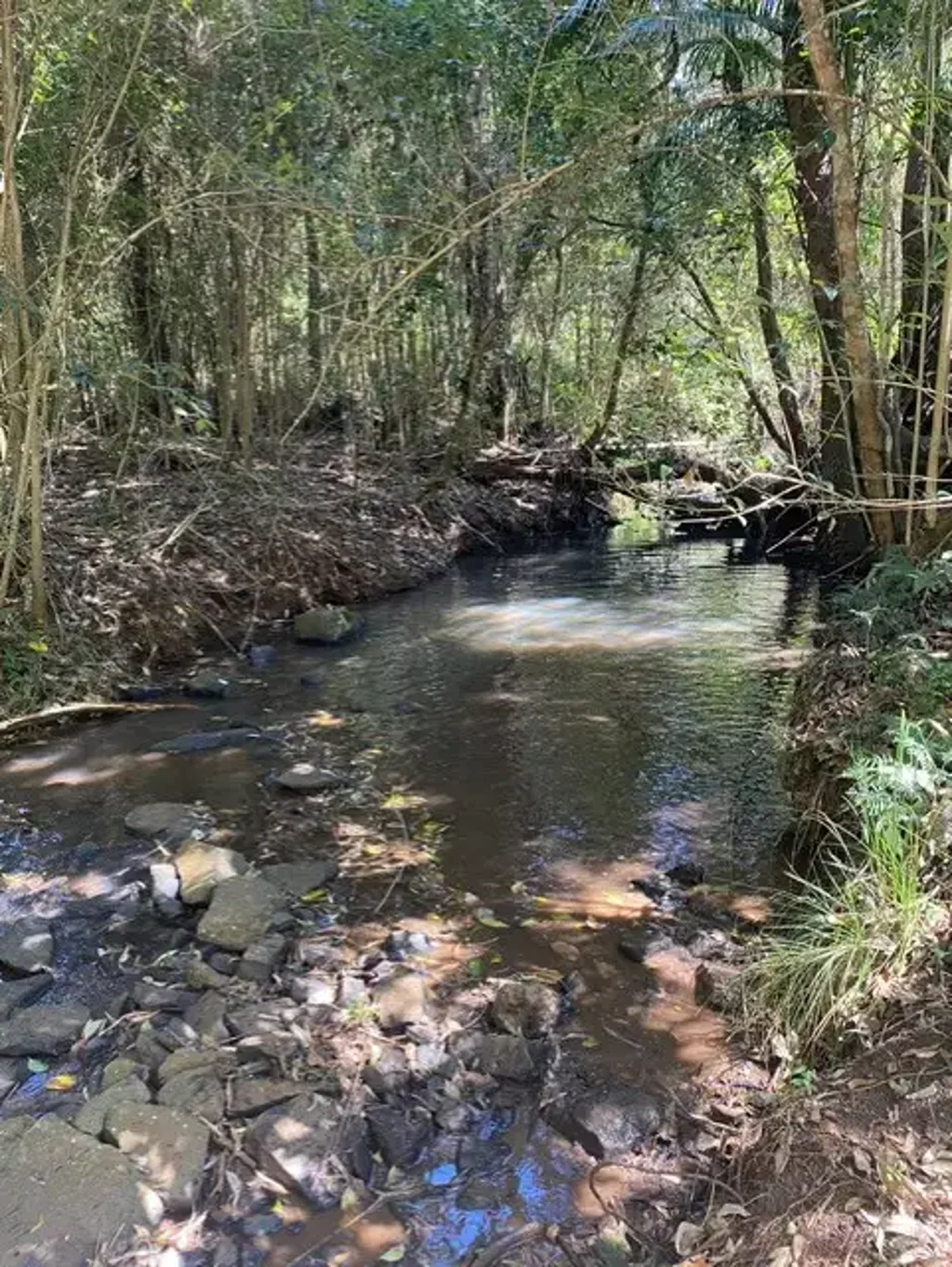 Ravensbourne  Ravensbourne lifestyle block Approx. 40 beautiful acres with creek.