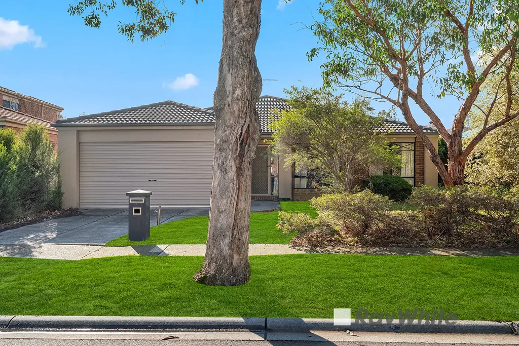 6 River Terrace, Hallam, VIC 3803