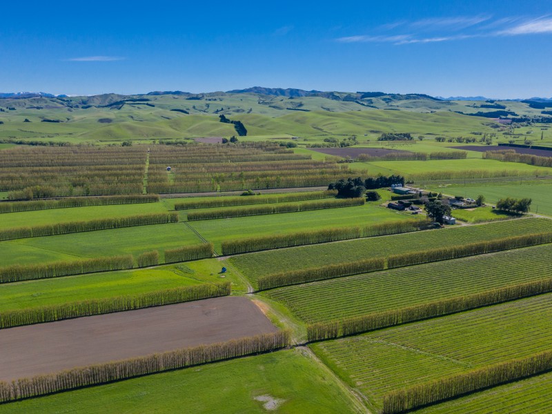 37 Omihi Station Road, Waipara, Hurunui, 0 habitaciones, 0 baños